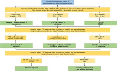 The evolving strategies for the management of patients with metastatic gastric cancer: A narrative review and expert opinion